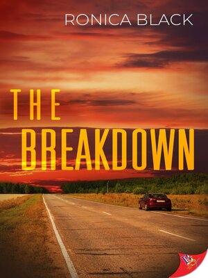 cover image of The Breakdown